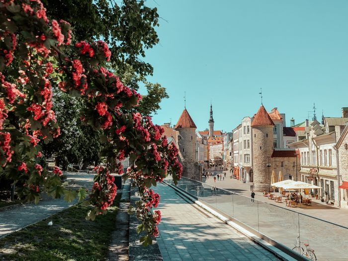 viru-varavad-005-visit-estonia